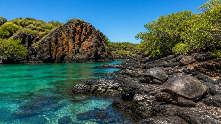 galapagos cruise port information