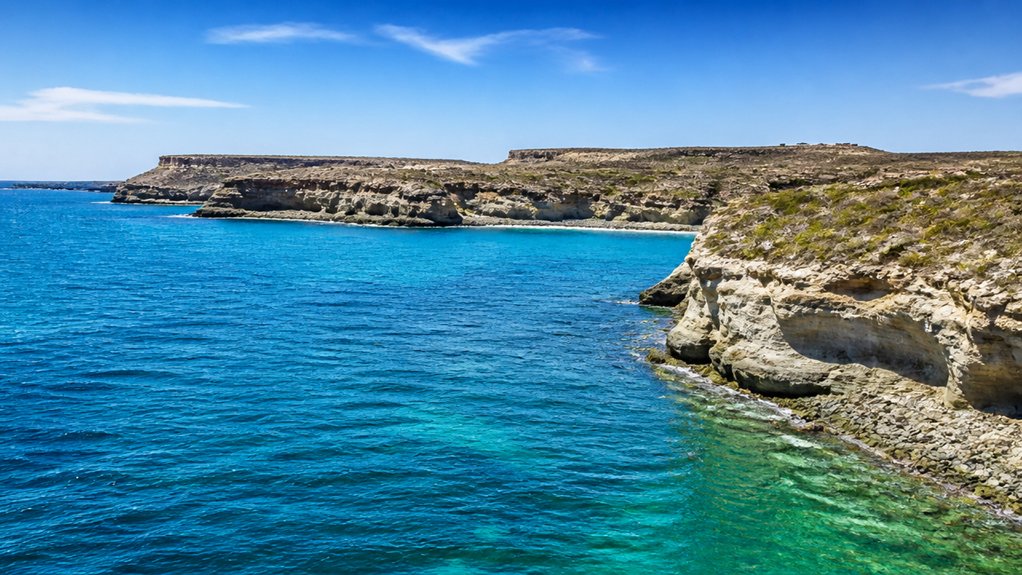 puerto madryn travel insights