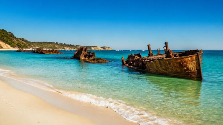 moreton island cruise information