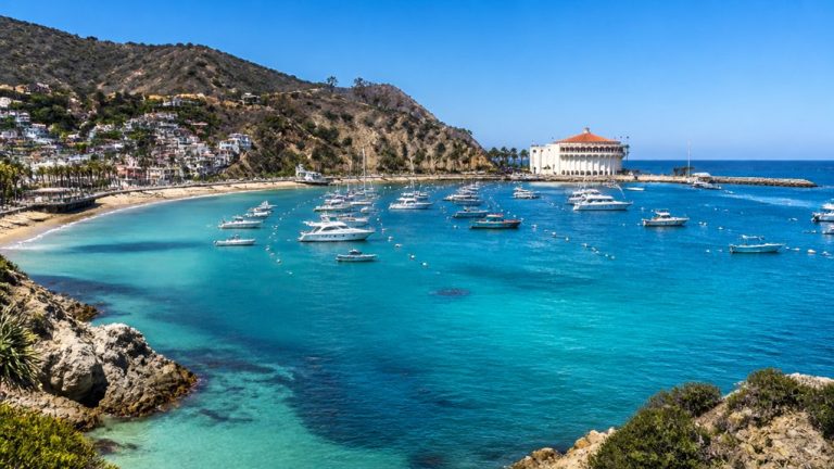 santa catalina island guide
